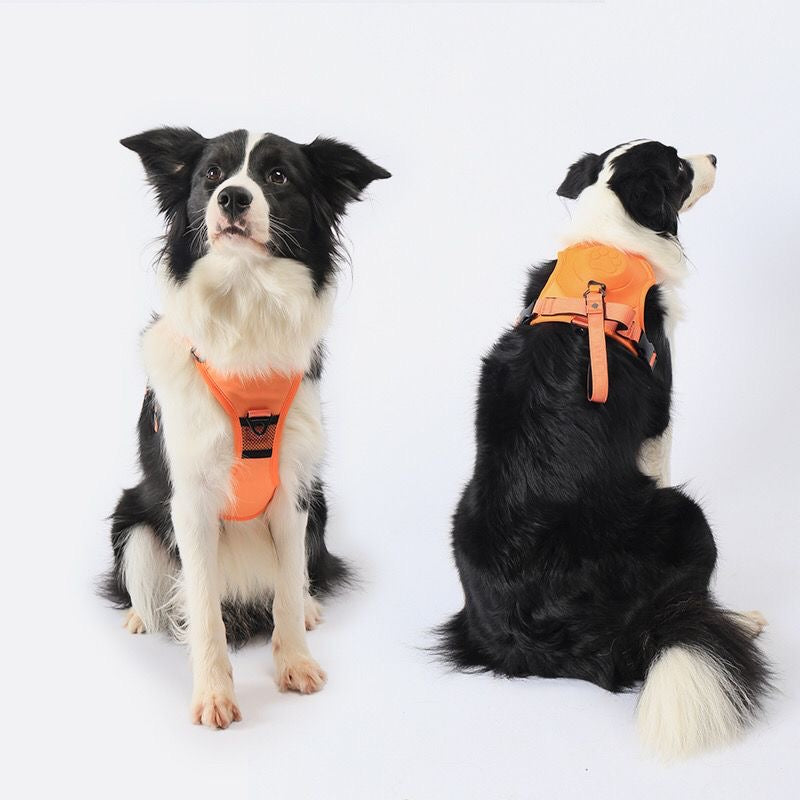 2-in-1 Dog Harness + Auto-Retractable Leash — Buy 1 Get FREE Water Bottle